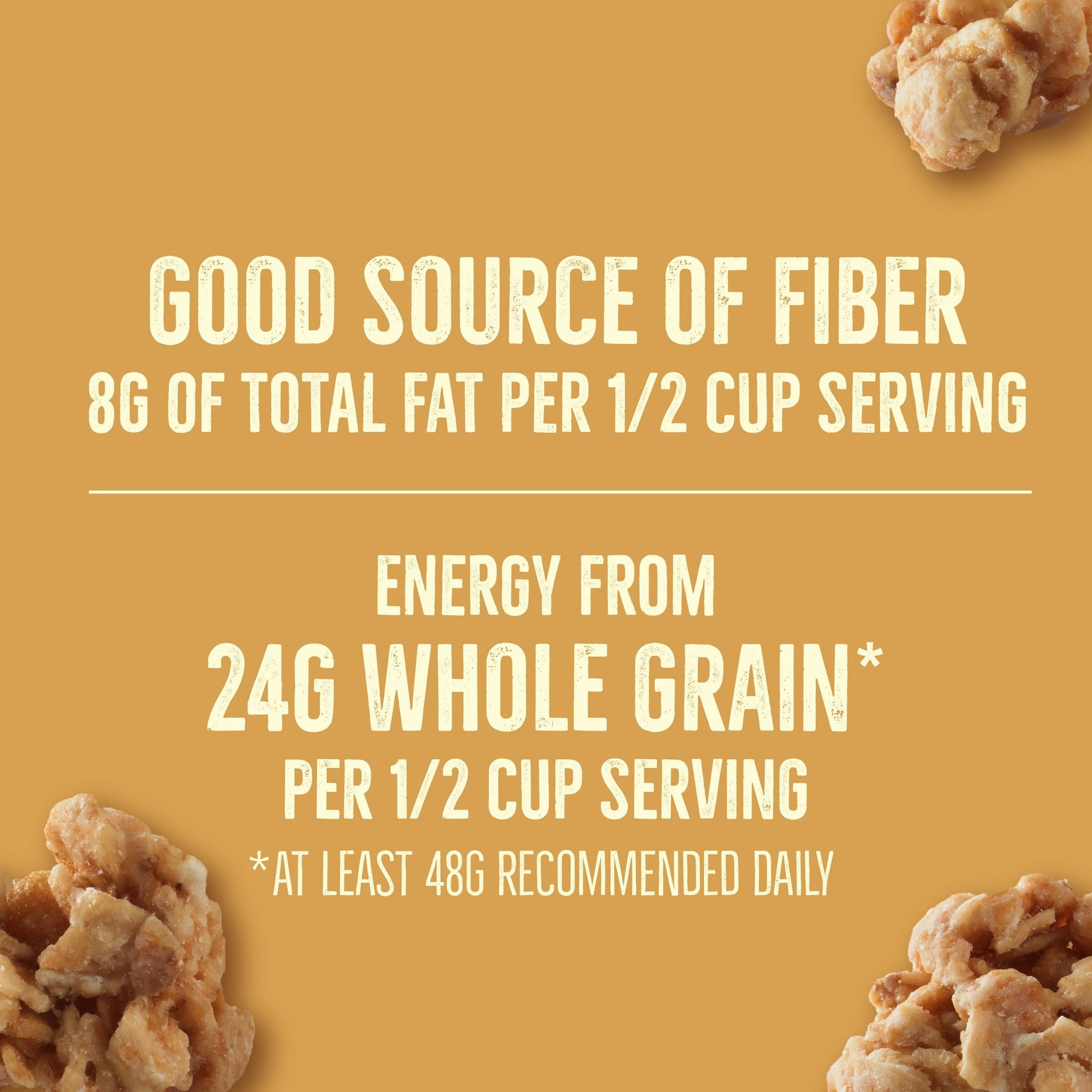 Nature Valley Granola, Dipped Salted Caramel Flavored, 9g Protein, 11 oz